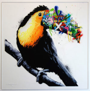 z MARTIN WHATSON TOUCAN HAND FINISHED PRINT CLEAR ACRYLIC