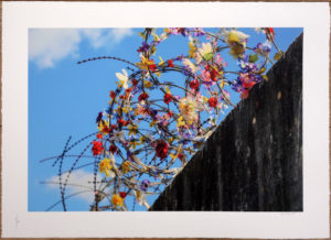 ICY & SOT IMAGINE A WORLD WITHOUT BORDERS 2