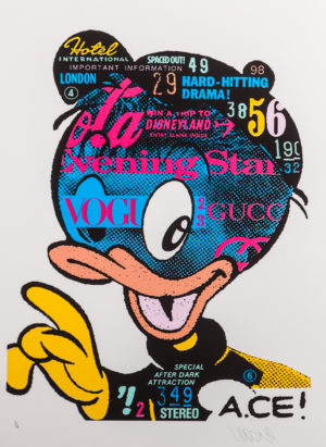 z A.CE 2013 DUCK EDIT